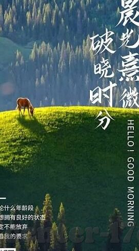 糖心vlog官网ios-在移动时代的美学探索，糖心Vlog官网与iOS平台的结合魅力